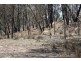 “Dalys Creek” Mount Mackenzie Road, Tenterfield NSW 2372