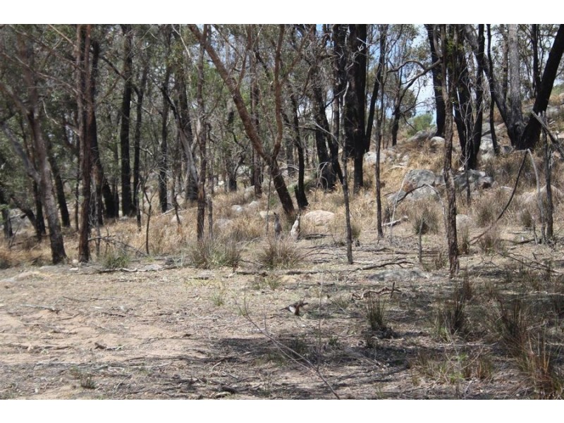 “Dalys Creek” Mount Mackenzie Road, Tenterfield NSW 2372