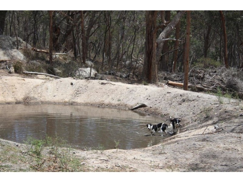 “Dalys Creek” Mount Mackenzie Road, Tenterfield NSW 2372