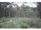 “Dalys Creek” Mount Mackenzie Road, Tenterfield NSW 2372