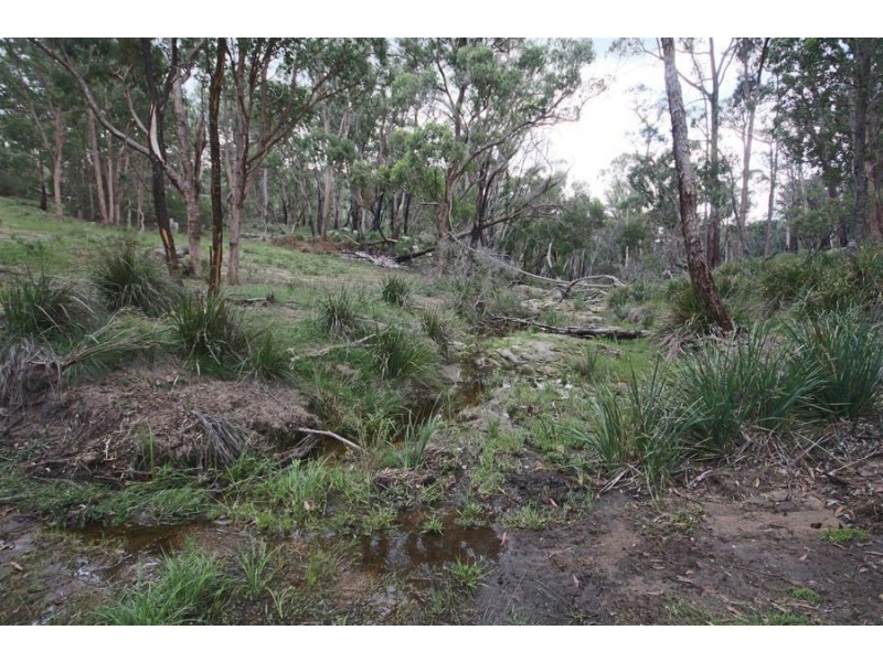 “Dalys Creek” Mount Mackenzie Road, Tenterfield NSW 2372