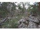 “Dalys Creek” Mount Mackenzie Road, Tenterfield NSW 2372