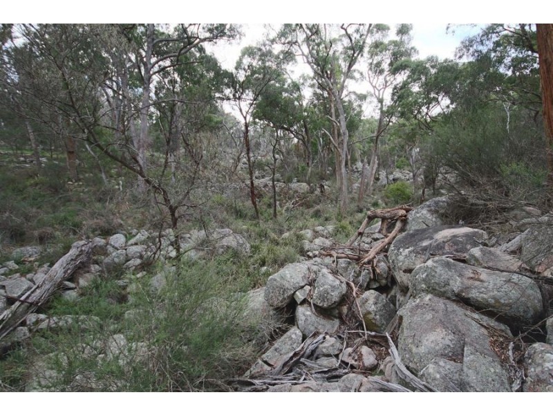“Dalys Creek” Mount Mackenzie Road, Tenterfield NSW 2372