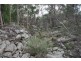 “Dalys Creek” Mount Mackenzie Road, Tenterfield NSW 2372