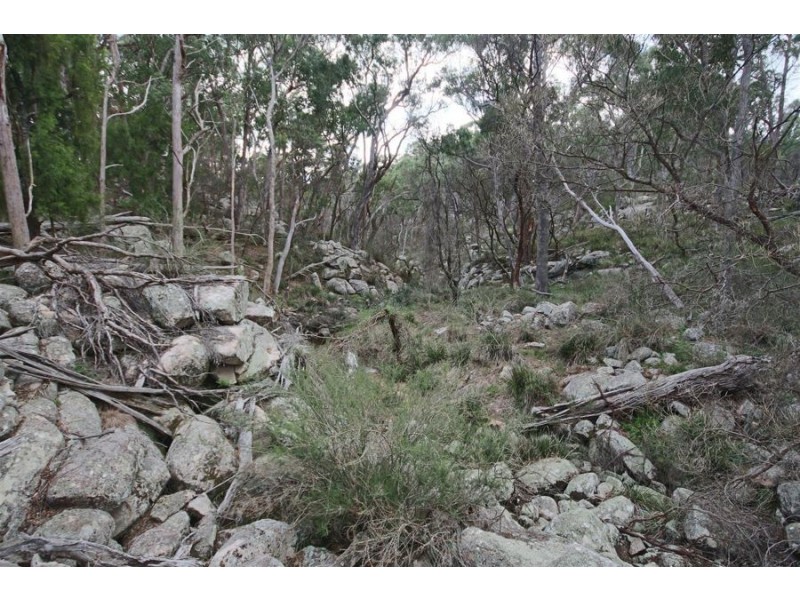 “Dalys Creek” Mount Mackenzie Road, Tenterfield NSW 2372