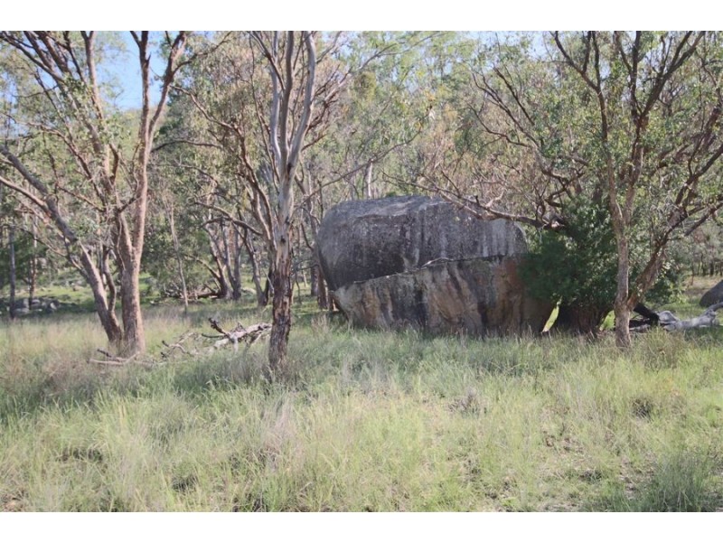 1241 Woodside Road, Tenterfield NSW 2372