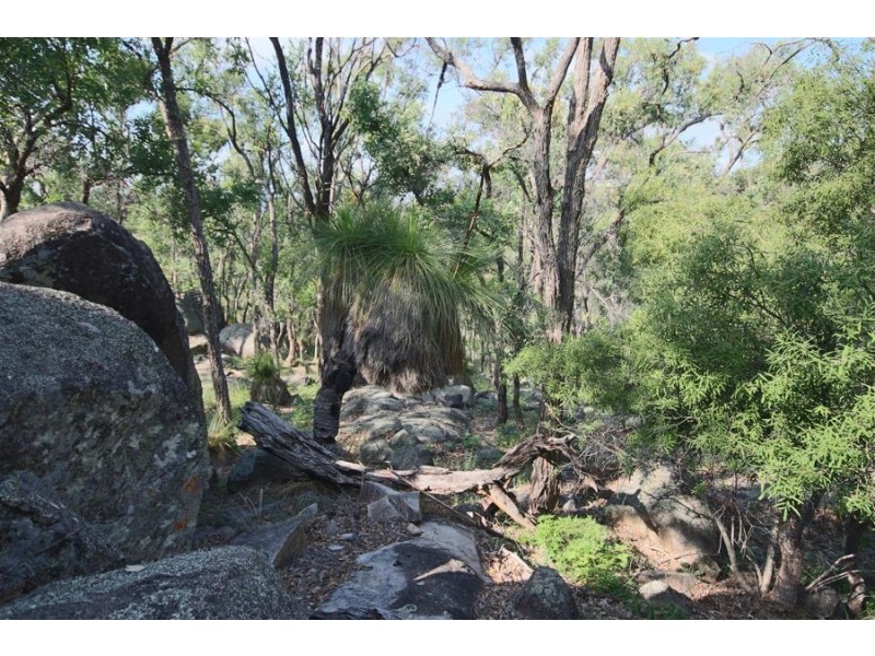 1241 Woodside Road, Tenterfield NSW 2372