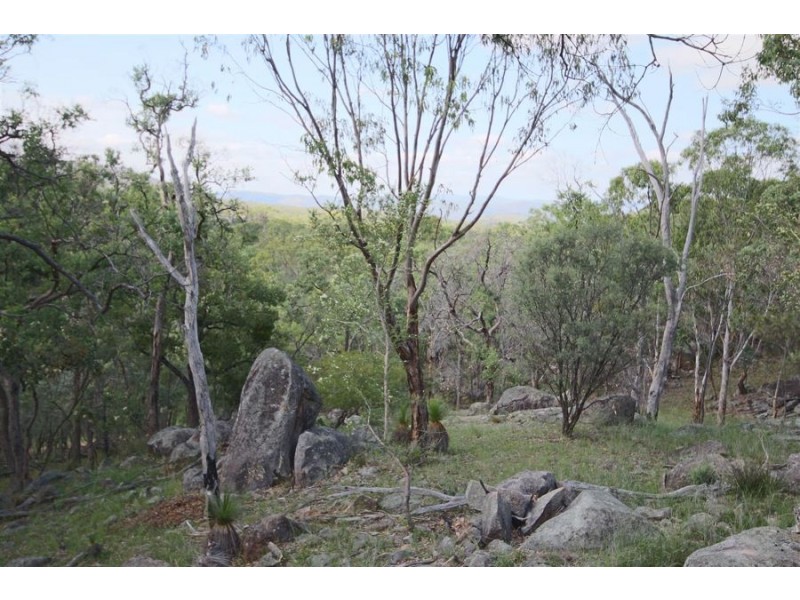 1241 Woodside Road, Tenterfield NSW 2372