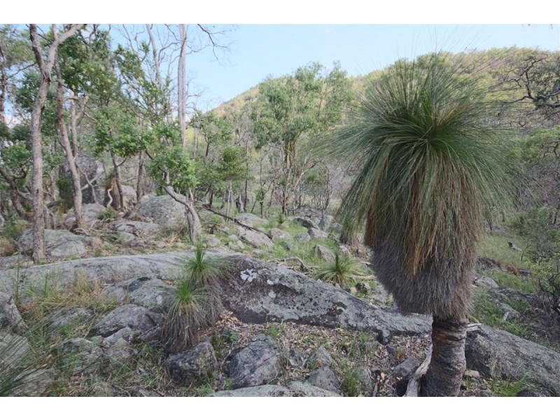 1241 Woodside Road, Tenterfield NSW 2372