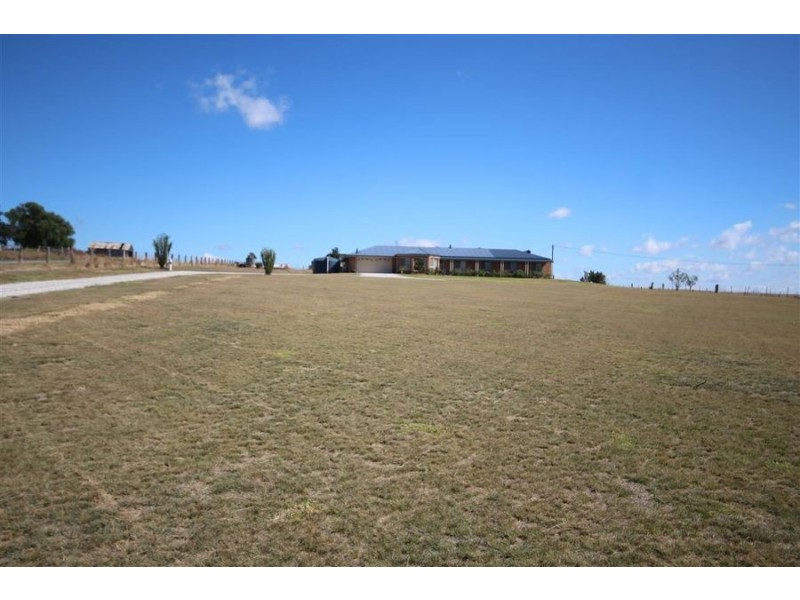 149 Bellevue Road, Tenterfield NSW 2372