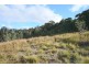 992 Timbarra Road, Tenterfield NSW 2372