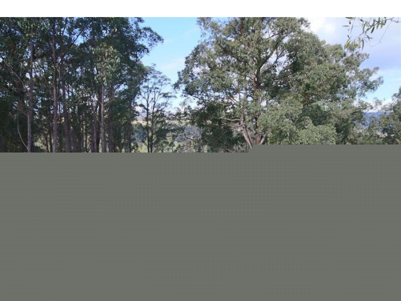 992 Timbarra Road, Tenterfield NSW 2372