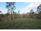 992 Timbarra Road, Tenterfield NSW 2372