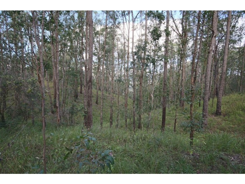 992 Timbarra Road, Tenterfield NSW 2372