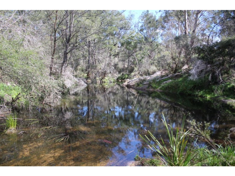 40 MacLeods Creek Road, Tenterfield NSW 2372