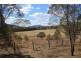 40 MacLeods Creek Road, Tenterfield NSW 2372