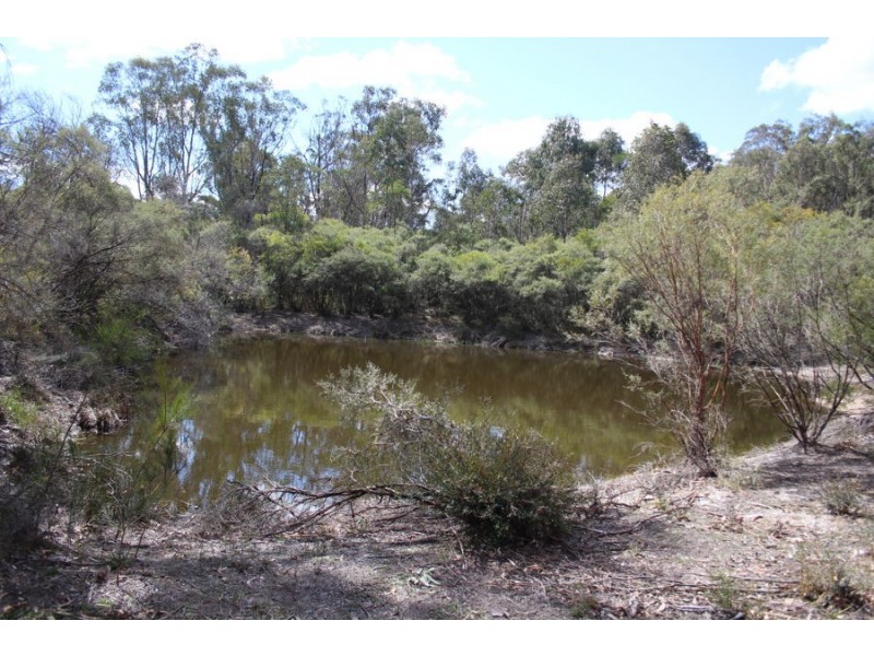 40 MacLeods Creek Road, Tenterfield NSW 2372