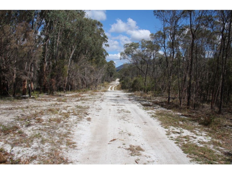 40 MacLeods Creek Road, Tenterfield NSW 2372