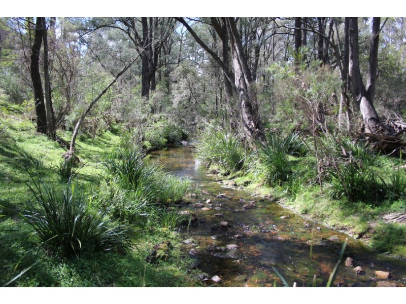 40 MacLeods Creek Road, Tenterfield NSW 2372