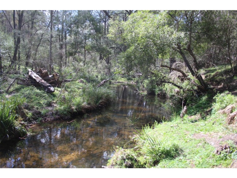 40 MacLeods Creek Road, Tenterfield NSW 2372