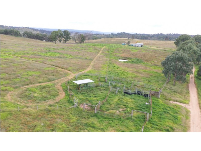 69 Steinbrook Hall Road, Tenterfield NSW 2372