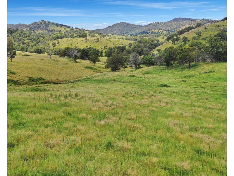 7706 New England Highway, Tenterfield NSW 2372