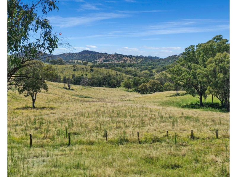 7706 New England Highway, Tenterfield NSW 2372