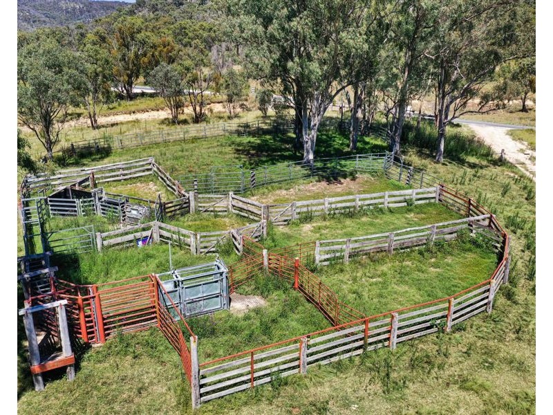 7706 New England Highway, Tenterfield NSW 2372