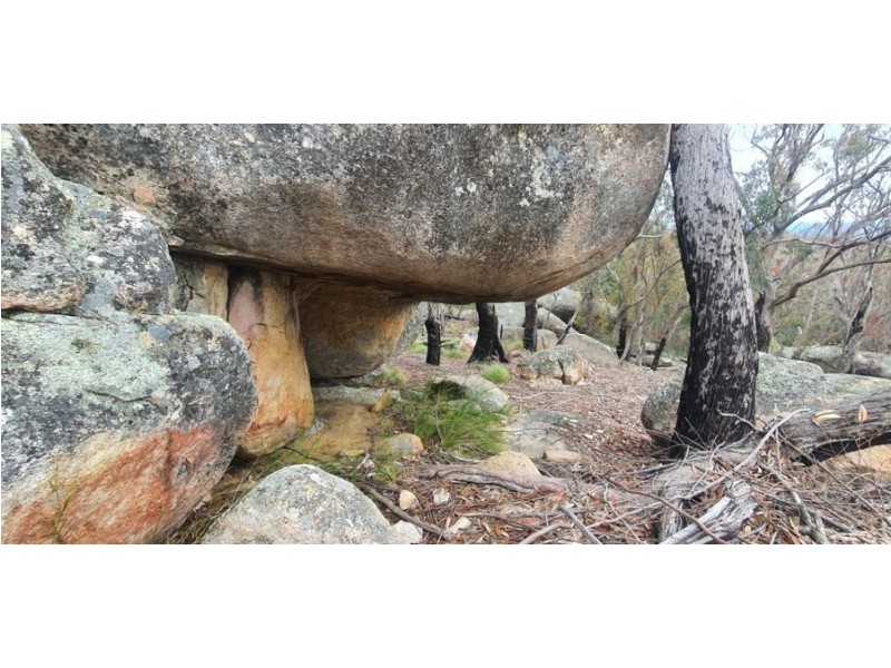 1330 Mount McKenzie Road, Tenterfield NSW 2372