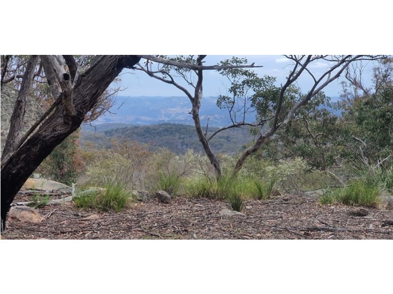 1330 Mount McKenzie Road, Tenterfield NSW 2372