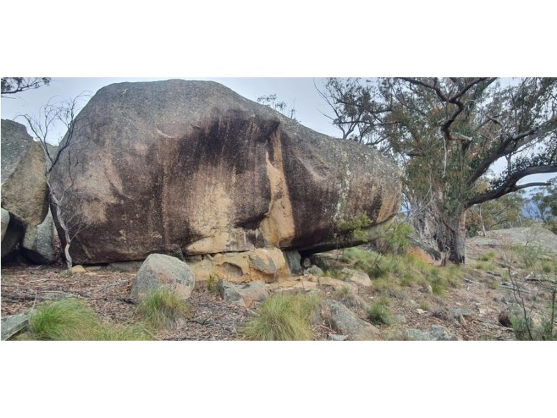 1330 Mount McKenzie Road, Tenterfield NSW 2372