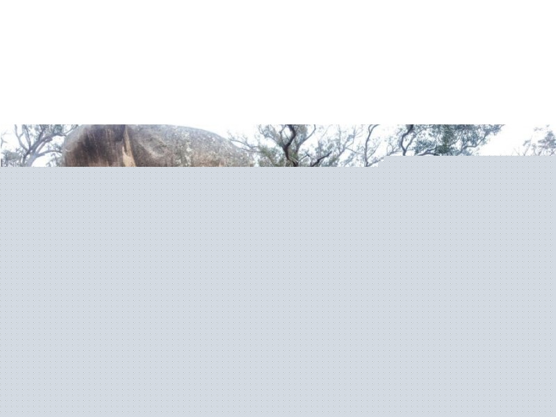 1330 Mount McKenzie Road, Tenterfield NSW 2372