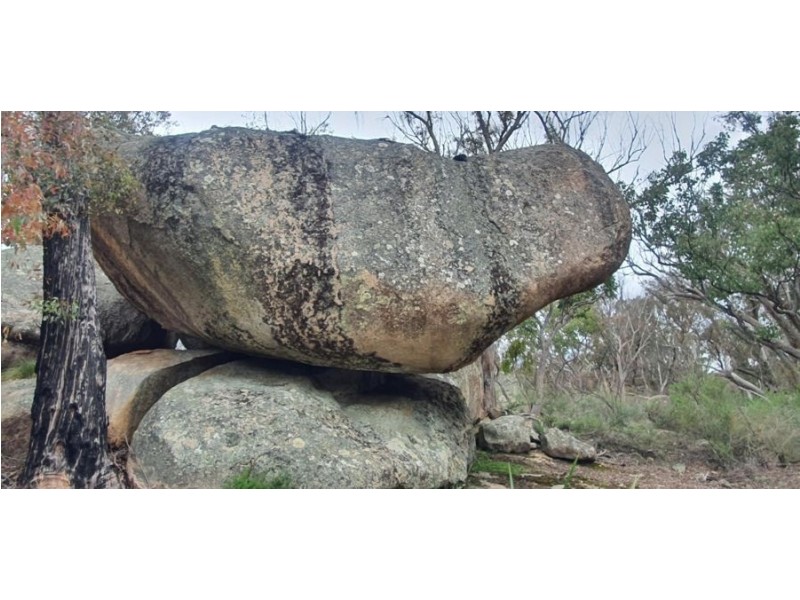 1330 Mount McKenzie Road, Tenterfield NSW 2372