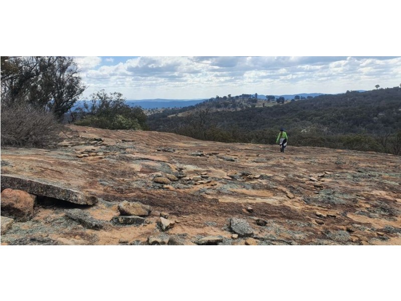 1330 Mount McKenzie Road, Tenterfield NSW 2372