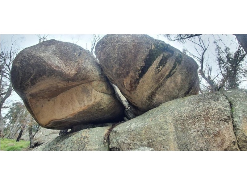 1330 Mount McKenzie Road, Tenterfield NSW 2372