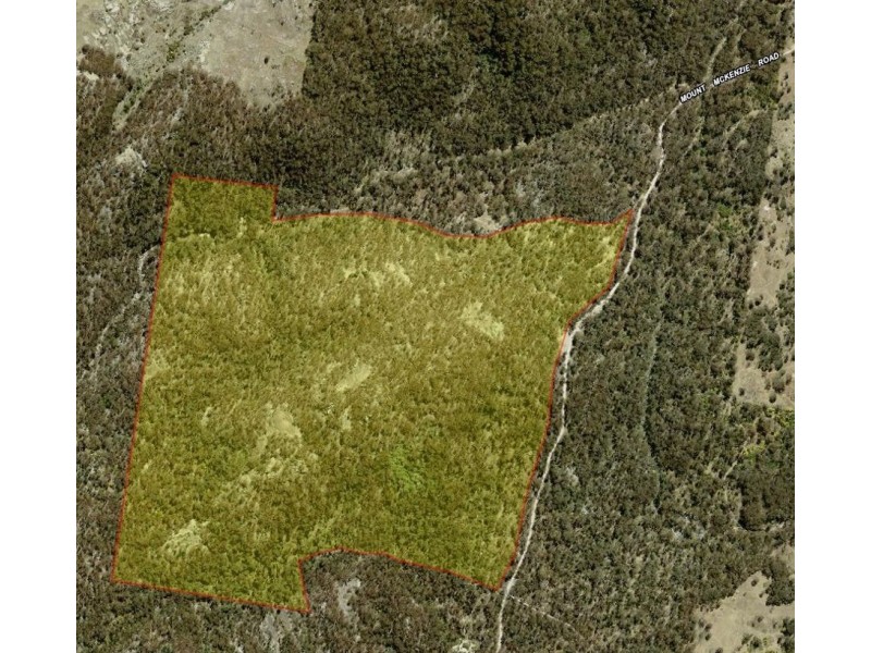 1330 Mount McKenzie Road, Tenterfield NSW 2372