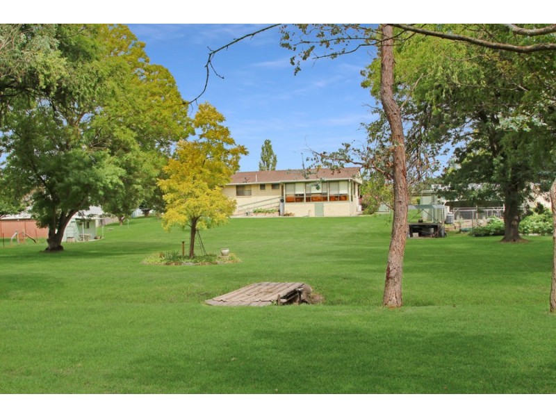 411 Rouse Street, Tenterfield NSW 2372