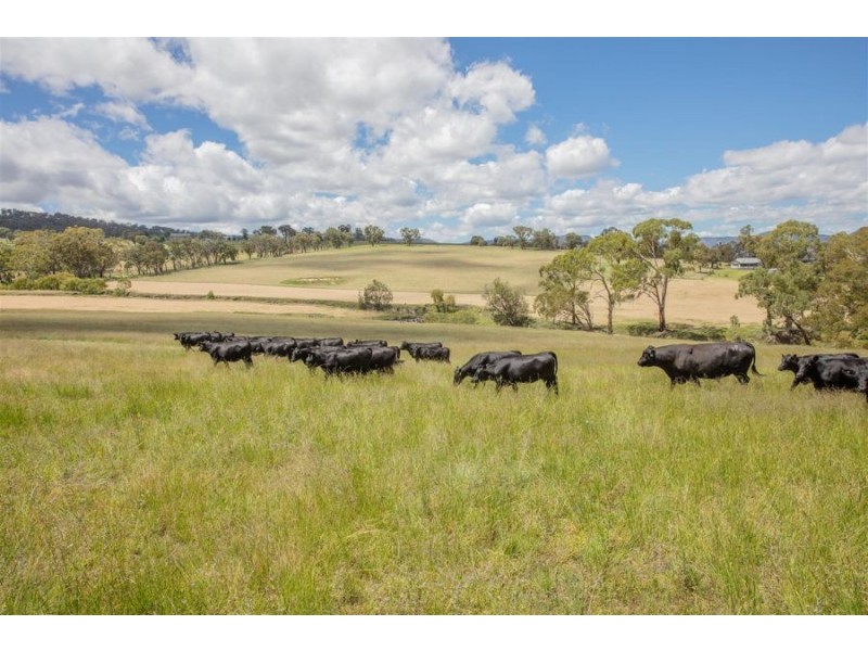 200 Scotts Gully Road, Tenterfield NSW 2372