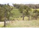 200 Scotts Gully Road, Tenterfield NSW 2372