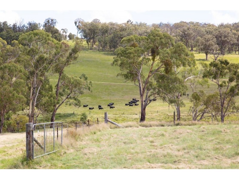 200 Scotts Gully Road, Tenterfield NSW 2372