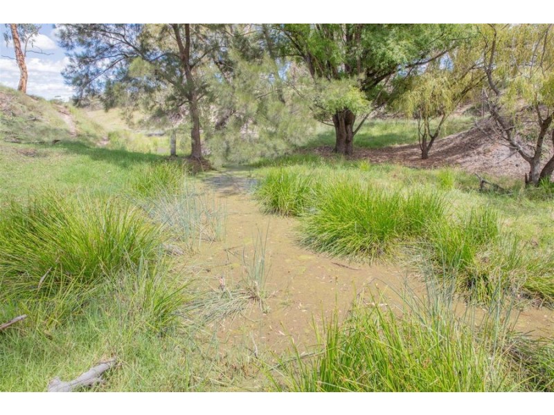 200 Scotts Gully Road, Tenterfield NSW 2372