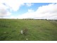 255 East Street, Tenterfield NSW 2372
