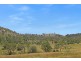 14 Kildare Road, Tenterfield NSW 2372