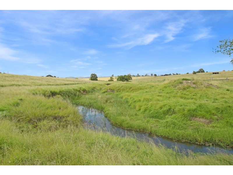 79 Bellevue Road, Tenterfield NSW 2372