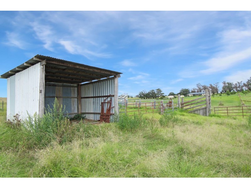 79 Bellevue Road, Tenterfield NSW 2372