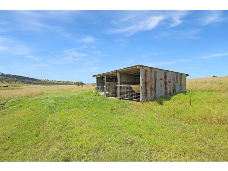 79 Bellevue Road, Tenterfield NSW 2372