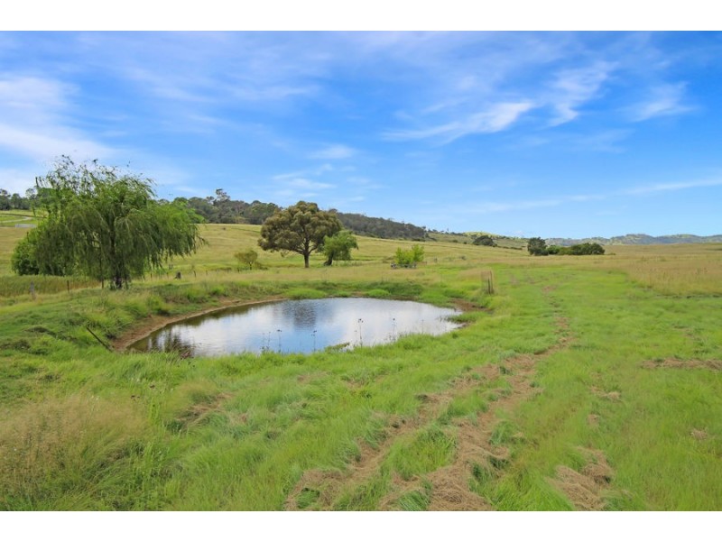 79 Bellevue Road, Tenterfield NSW 2372