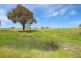 79 Bellevue Road, Tenterfield NSW 2372