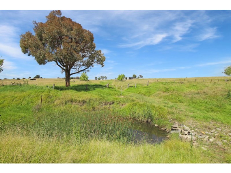 79 Bellevue Road, Tenterfield NSW 2372