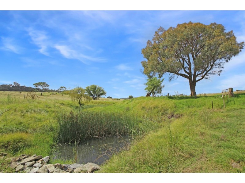 79 Bellevue Road, Tenterfield NSW 2372